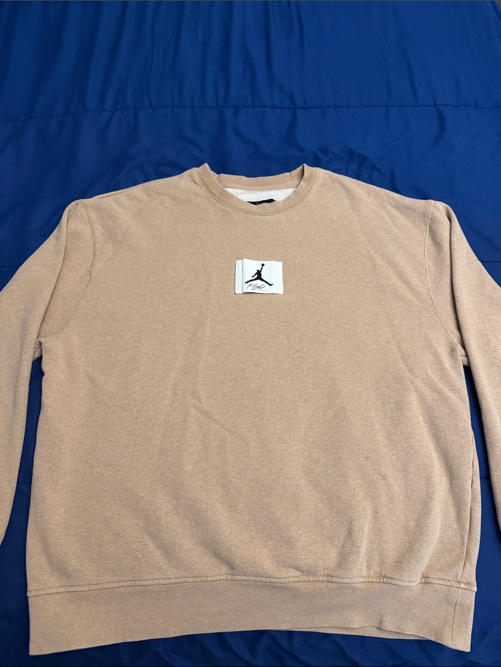Jordan Crewneck Sweatshirt in Tan